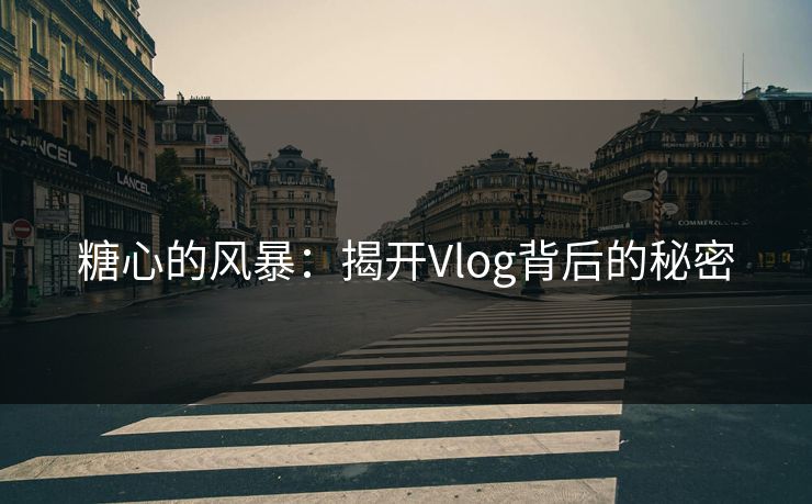 糖心的风暴：揭开Vlog背后的秘密