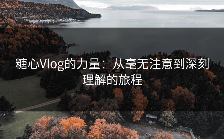 糖心Vlog的力量：从毫无注意到深刻理解的旅程
