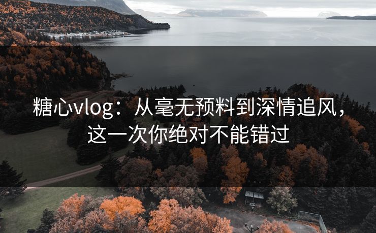 糖心vlog：从毫无预料到深情追风，这一次你绝对不能错过