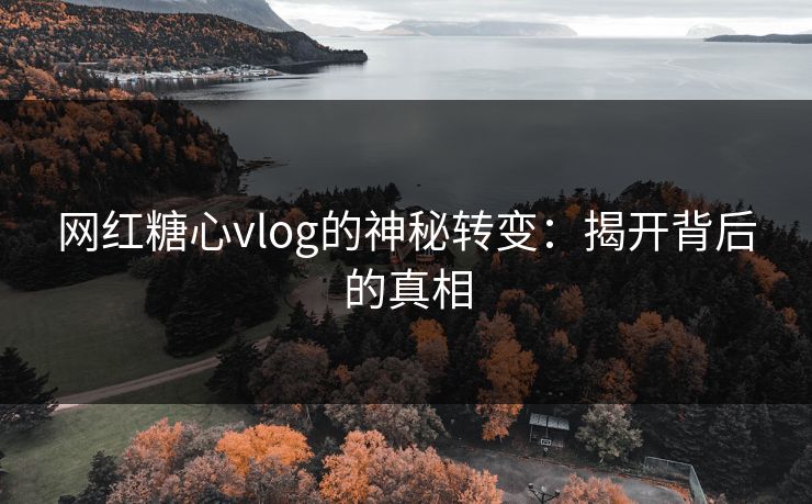 网红糖心vlog的神秘转变：揭开背后的真相
