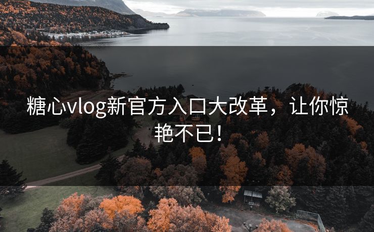 糖心vlog新官方入口大改革，让你惊艳不已！