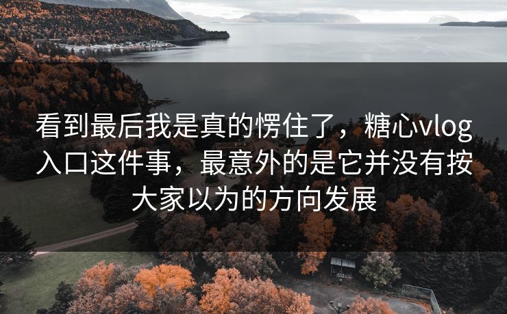 看到最后我是真的愣住了，糖心vlog入口这件事，最意外的是它并没有按大家以为的方向发展