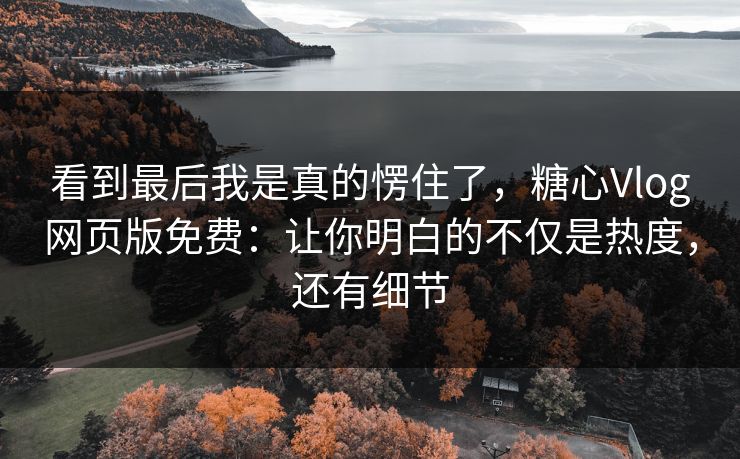 看到最后我是真的愣住了，糖心Vlog网页版免费：让你明白的不仅是热度，还有细节