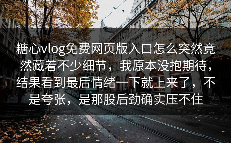 糖心vlog免费网页版入口怎么突然竟然藏着不少细节，我原本没抱期待，结果看到最后情绪一下就上来了，不是夸张，是那股后劲确实压不住