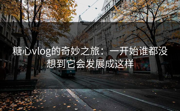 糖心vlog的奇妙之旅：一开始谁都没想到它会发展成这样