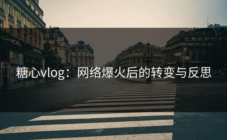 糖心vlog：网络爆火后的转变与反思